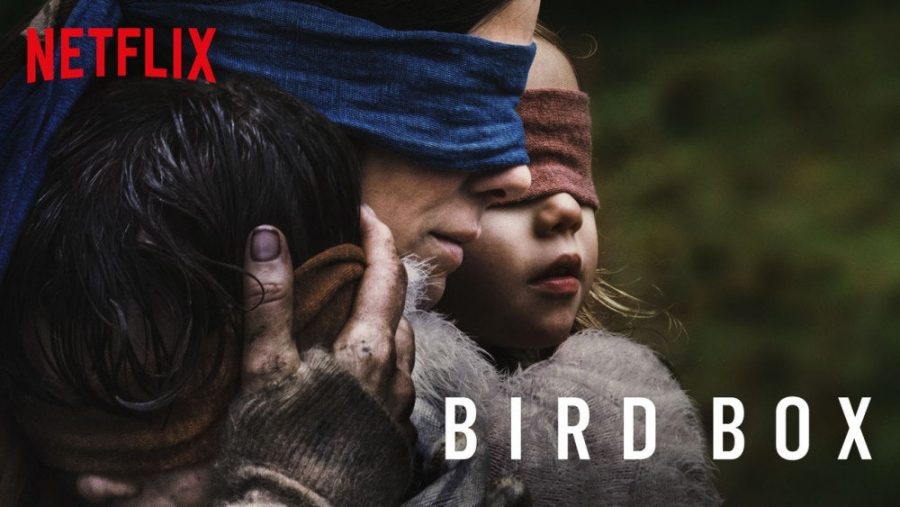 Actress Sandra Bullock stars in Bird Box. 