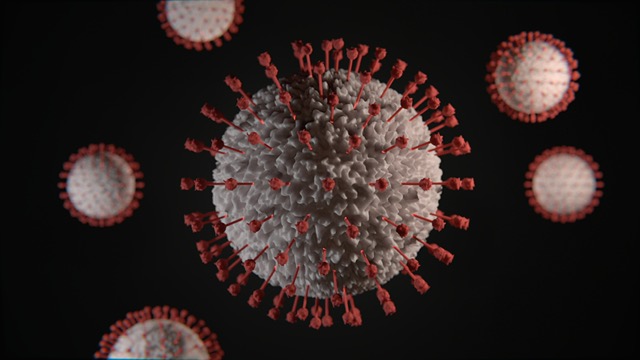 The COVID-19 virus was the main news story of 2020. Photo courtesy of Viktor Forgacs on Unsplash.