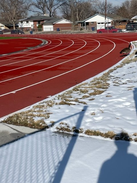 A-West fans are eager to see their track team this spring as the season has begun! (Photo by: Riley Swanson)