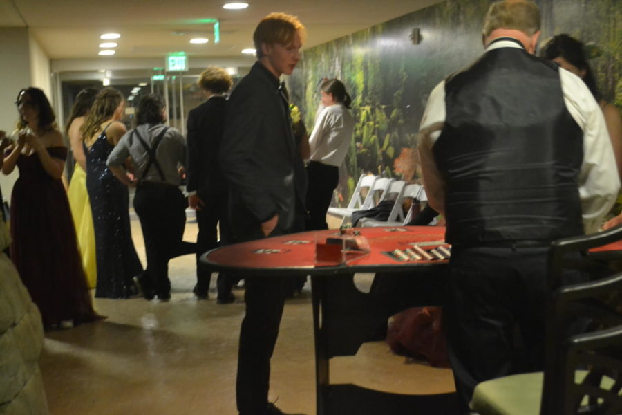 the cars line out on the table while a student contemplates what their choice will be