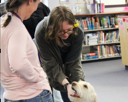 Librarian Josie Zoll and Junior Juniper Davis admire Arvada Wests furry friend Bloosh.  Photo by Chloe Rios