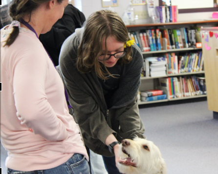 Librarian Josie Zoll and Junior Juniper Davis admire Arvada West's furry friend Bloosh.  Photo by Chloe Rios