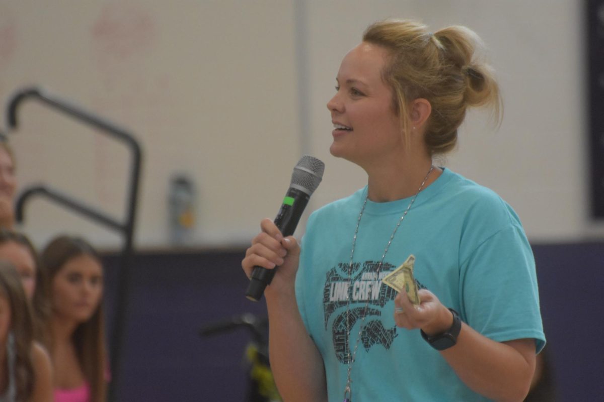 McCain presenting in Freshman Orientation. Photo courtesy of McCain.